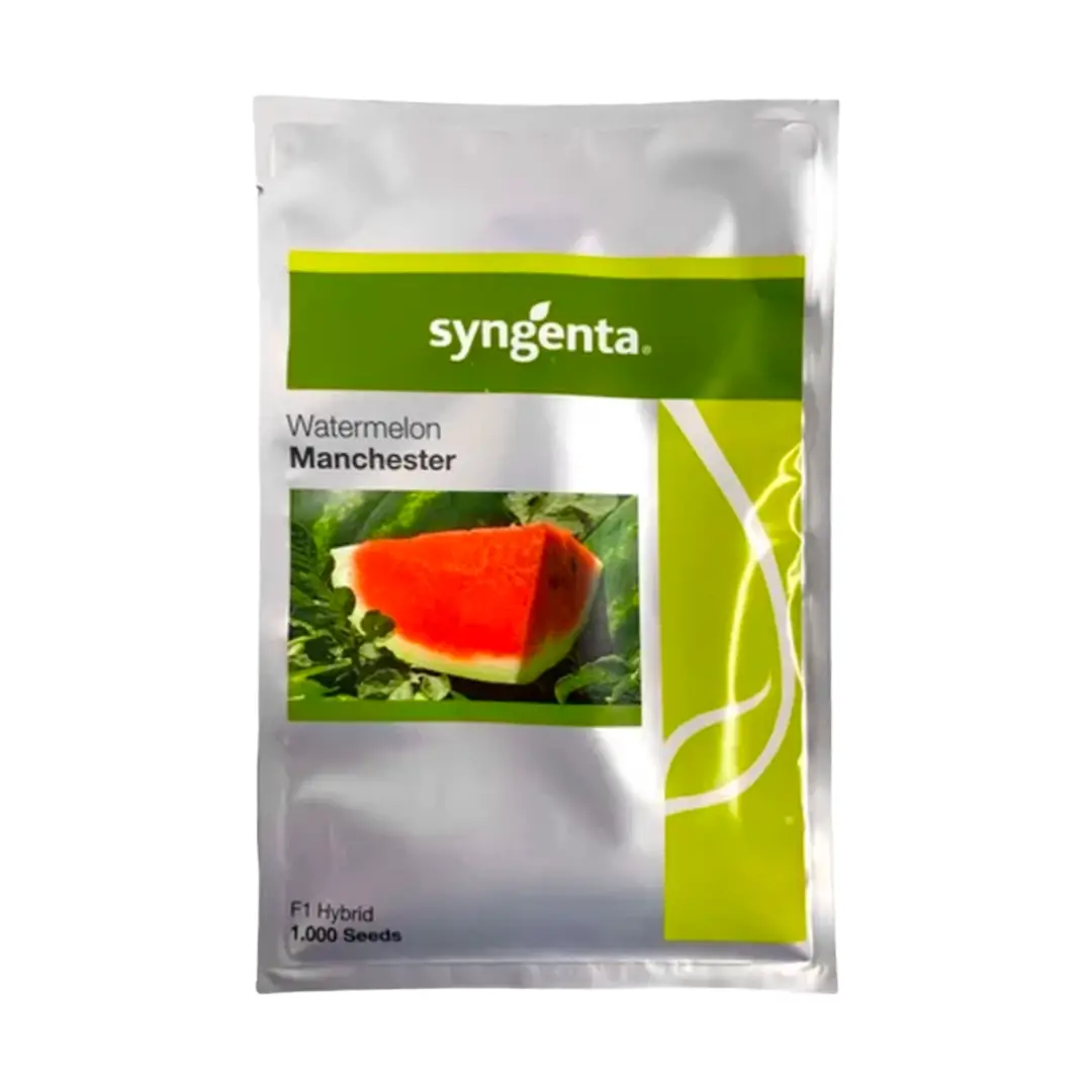 Semente De Melancia Manchester